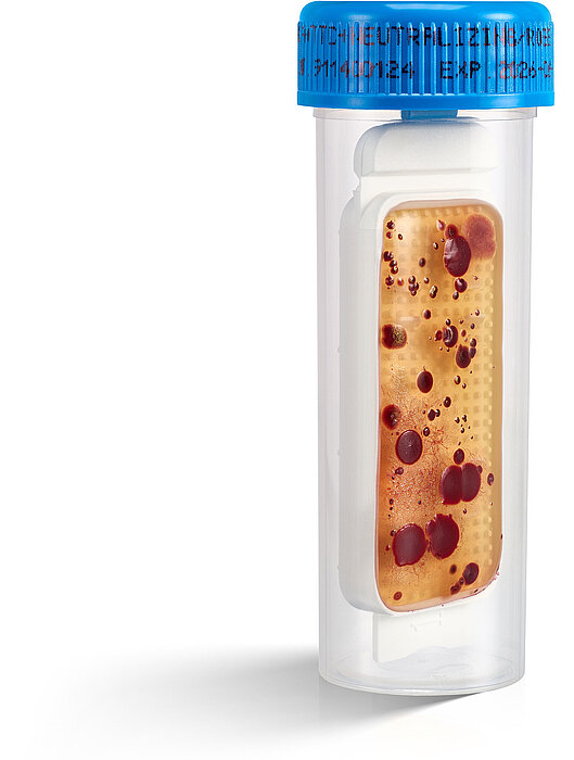 Eine Dipslide-Kultur zur Überwachung mikrobieller Verunreinigungen  auf weißem Hintergrund.