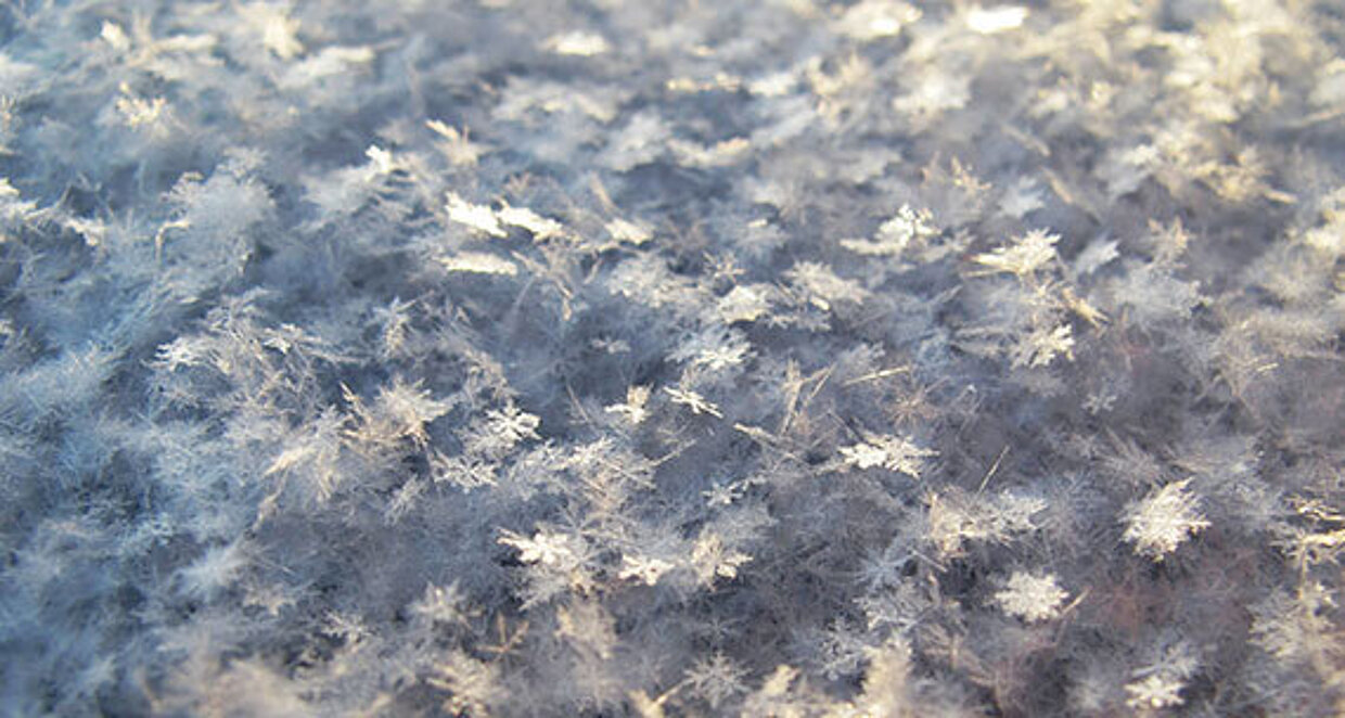 Makroaufnahme von Schnee