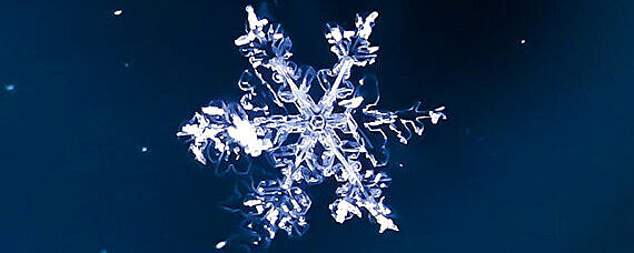 Nahaufnahme einer Schneeflocke vor dunkelblauem Hintergrund